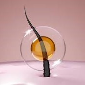 Scalp Health and Nourishment